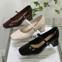 Mary Jane Chunky Heel Square Toe Shoes