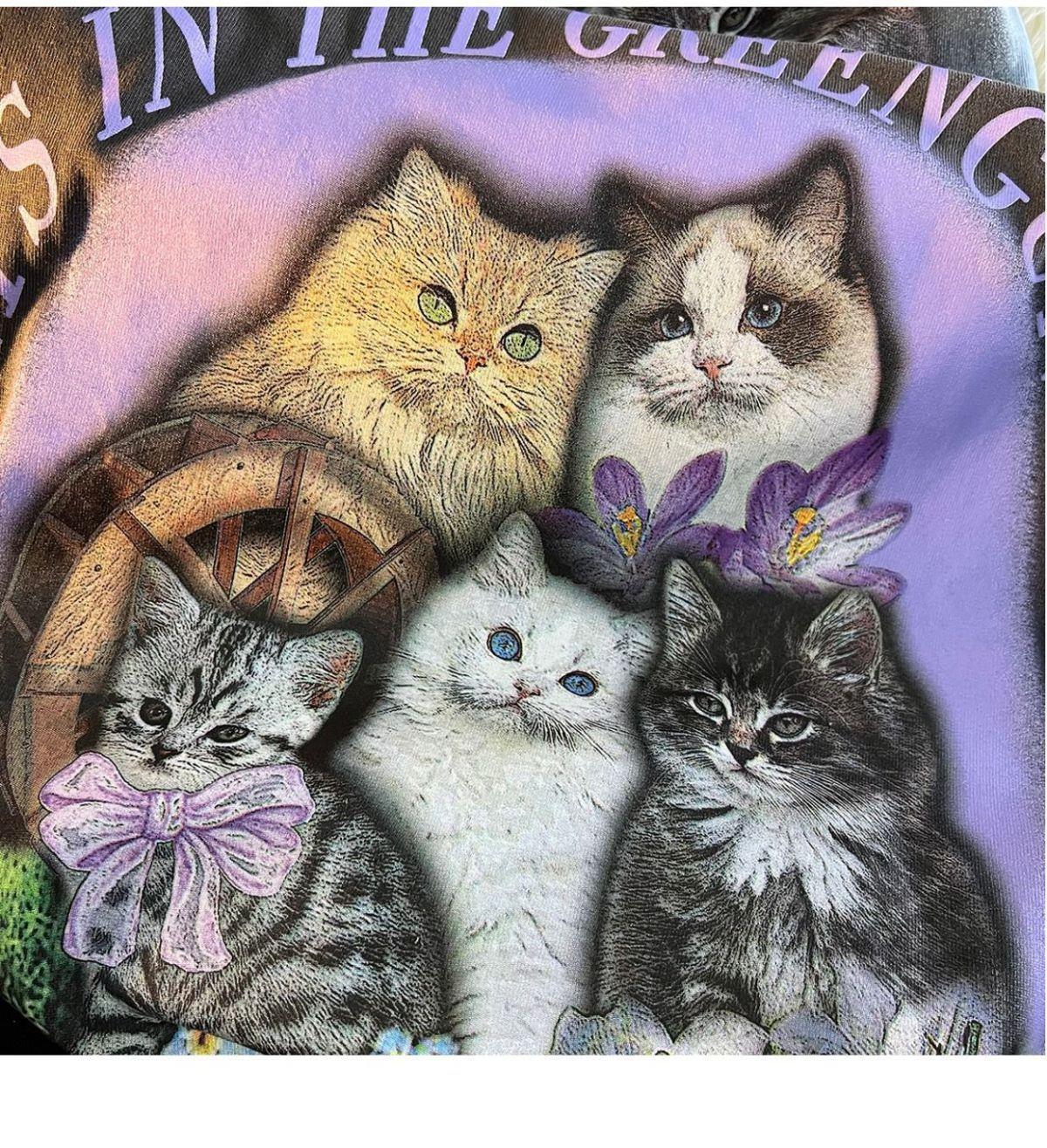 Vivid Cat Print Oversized Short Sleeve Tee - fairypeony