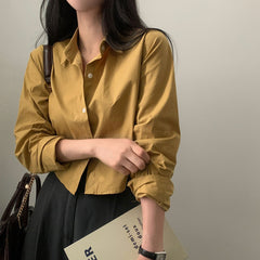 Solid Color Oversized Long Sleeve Crop Blouse