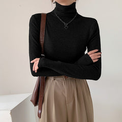 Solid Color Turtleneck Long Sleeve Knitted Tee