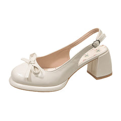 Aesthetic Thick Heel Shoes - fairypeony