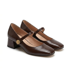 Pair of brown shoes with a strap on a white background