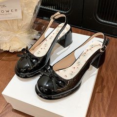Aesthetic Thick Heel Shoes - fairypeony