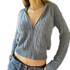 Cable Knit Hooded Cardigan, , women clothing, cable-knit-hooded-cardigan, black, brown, grey, red, fairypeony