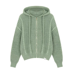 Hooded Twist-Knit Sweater