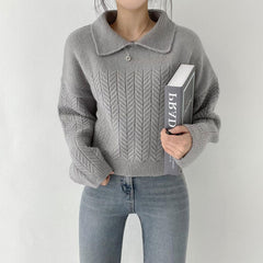Polo Collar Cable Knit Oversized Sweater