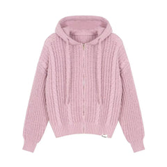 Hooded Twist-Knit Sweater