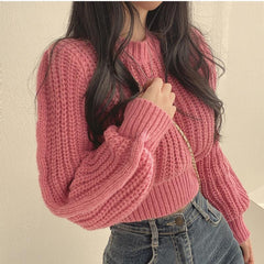 Solid Color Crew Neck Crop Sweater