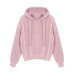 Hooded Twist-Knit Sweater