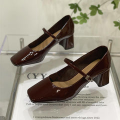 Mary Jane Chunky Heel Square Toe Shoes