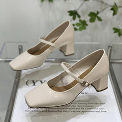 Mary Jane Chunky Heel Square Toe Shoes