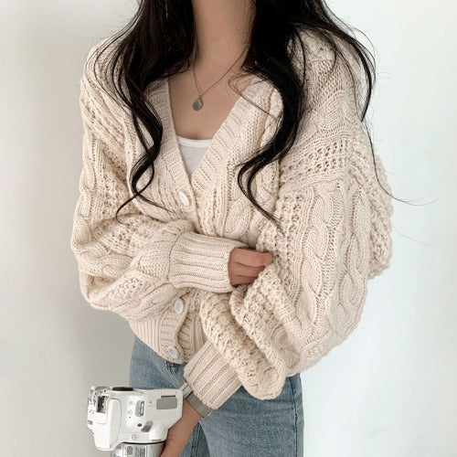 Cable Knit Button Down Cardigan - fairypeony