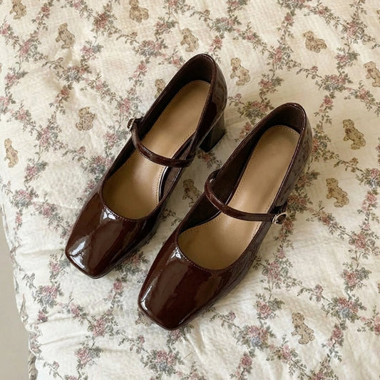 Mary Jane Chunky Heel Square Toe Shoes