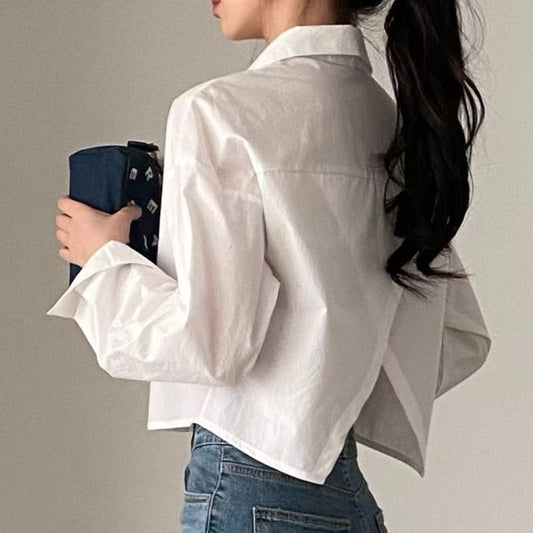 Solid Color Long Sleeve Crop Blouse