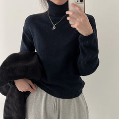 Dark Academia Turtle Neck Solid Color Sweater