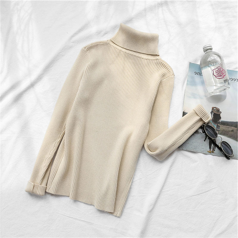 Turtleneck sweater, , women clothing, turtleneck-sweater, , fairypeony