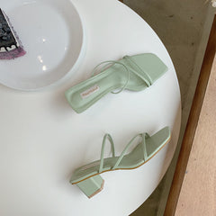 Thin belt thick heel female sandals, , women clothing, thin-belt-thick-heel-female-sandals, , fairypeony