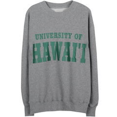 University Of Hawaii Vintage Sweatshirt, , women clothing, university-of-hawaii-vintage-sweatshirt, grey, fairypeony