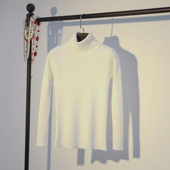 Turtleneck sweater, , women clothing, turtleneck-sweater, , fairypeony