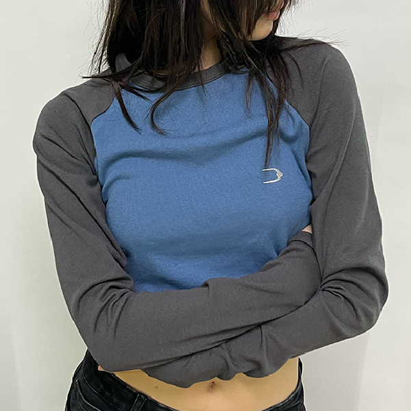 Vintage Raglan Long Sleeve Crop Top - fairypeony