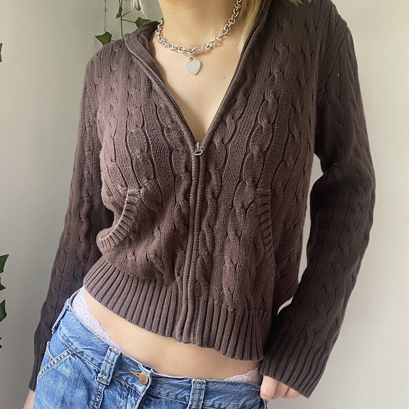 Cable Knit Hooded Cardigan, , women clothing, cable-knit-hooded-cardigan, black, brown, grey, red, fairypeony